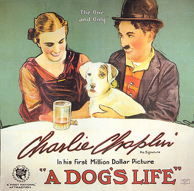 A dog's Life a dog's life