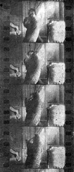 L'attacco del leopardo, fotogrammi del film "Il Mistero di Jack Hilton" Savoia 1913