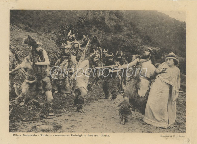 Il figlio delle Selve